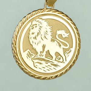 Silver Lion Rope Pendant, Astrology Jewelry, Leo Horoscope Necklace, Birthday Gift, August Zodiac Charm, Personalized Symbol of Power Amulet