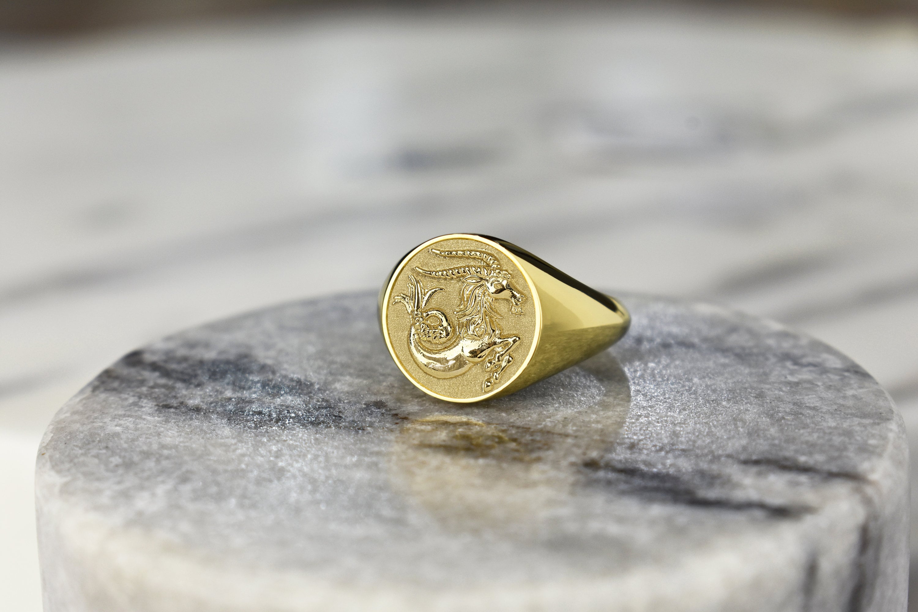14Kゴールド山羊座印章リング：星座占いの刻印入りギフト - Etsy 日本