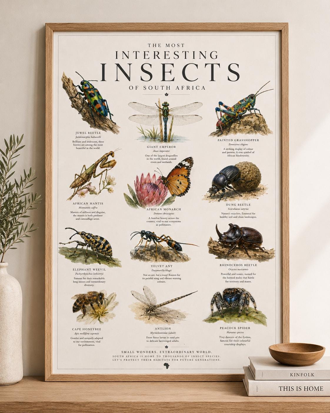 South Africa's Remarkable Insects Educational Poster [digital Printable ...
