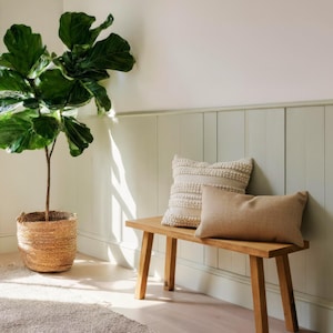 Puede incluir: Escena interior luminosa con una gran planta de higuera de hoja de violín en maceta. Un banco de madera con dos cojines decorativos. La habitación tiene una paleta de colores neutros y luz natural. El banco mide unos 100 cm.