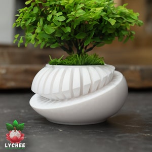 Indoor Planter with Drainage | Gardening Essential | Modern planter | 3D Printed | Planter for Flowers and Succulents |