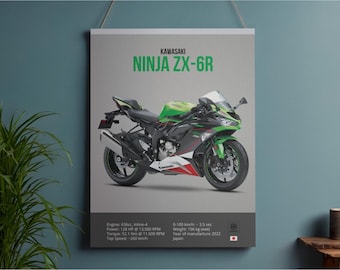 Kawasaki Ninja ZX-10R - 2021 Motorcycle Motorbike Vector Graphic