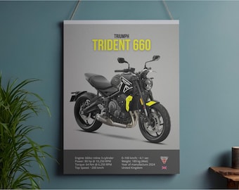 Póster de la motocicleta Triumph Trident 660 / Arte mural 2024 (Descarga digital)
