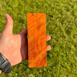 Stabilized Maple Burl Wood Block: Exotic Knife Handle Blank