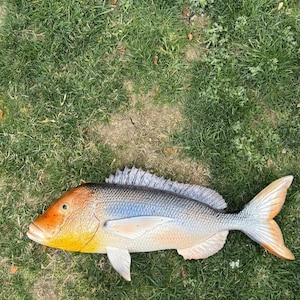 May include: A decorative fish sculpture with a detailed design. The fish has a yellow and orange head, a blue and silver body, and a tan tail. It is lying on a bed of green grass.