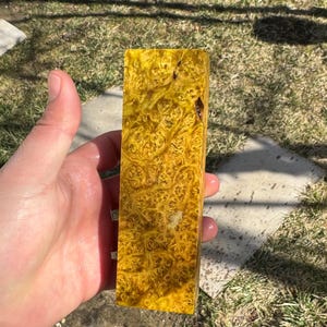 Könnte beinhalten: Ein rechteckiger Block aus goldgelbem Holz mit einem einzigartigen, wirbelnden Maserungsmuster. Das Holz hat eine satte, warme Farbe und eine natürliche, organische Textur. Der Block wird in einer Hand gehalten, um seine Größe und Details zu zeigen. Dieser Holzblock ist wahrscheinlich für die Holzbearbeitung oder das Basteln.