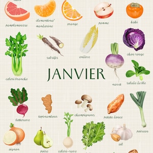Saisonaler Gemüsekalender