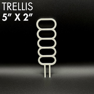 Minimalist Plant Trellis For Indoor Plants