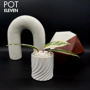 Minimalist Plant Pot for Indoor Plants - Modern Home Decor Houseplant Planter Garden Holder