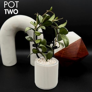 Pot Two Modern Vertical Ribbed Indoor Planter