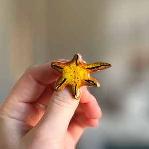 以下が含まれることがあります： 黄色とオレンジ色のヒトデ型のリング。 リングは、濃い茶色の縁のあるテクスチャ加工された表面を持っています。 リングは手で持たれています。