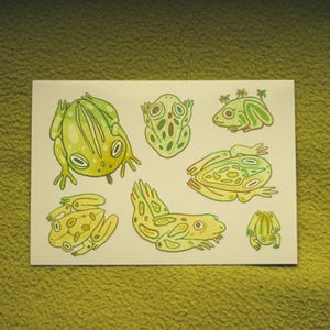 Pack d'autocollants Grenouilles Magiques - Autocollants en vinyle transparent dans un style Fantasy Nature