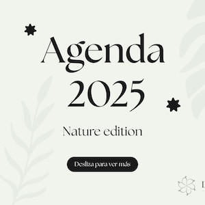 Digital agenda 2025 / Goodnotes / digital planner 2025 / Ipad / Samsung / tablet / Goodnotes digital planner