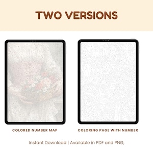 May include: Two digital art versions are displayed on tablets. One shows a colored number map, the other a coloring page with numbers. The text "TWO VERSIONS" is at the top. The bottom text reads "COLORED NUMBER MAP" and "COLORING PAGE WITH NUMBER".
