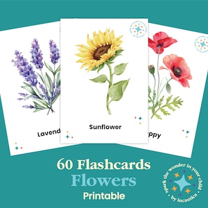 60 bloemenflitskaarten. Botanisch educatief leren, direct downloaden! Montessori, aquarelafbeeldingen, nomenclatuurkaarten, afdrukbare PDF