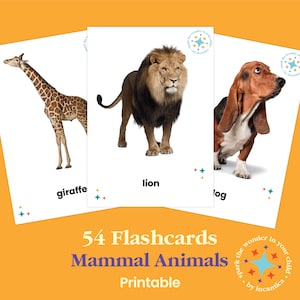 50 Fotografien, Fotografien, Fotografien, Fotografie, sofort download! Montessori, Nomenklatur Karten PDF Printable