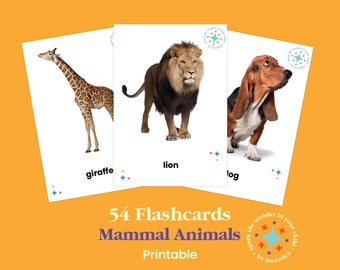 Set di 50 flashcard sugli animali mammiferi: apprendimento educativo, immagini fotografiche, download istantaneo! Montessori, Schede Nomenclatura PDF stampabile