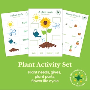 Printable Plant Learning Bundle: Parts of Plants, Life Cycle, Nature Study, Montessori Activities, Preschool Science, Homeschool Printable