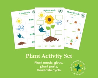 Pacchetto di apprendimento delle piante stampabile: parti di piante, ciclo di vita, studio della natura, attività Montessori, scienze prescolari, stampabile per l'istruzione domiciliare