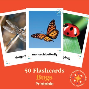 May include: A set of 50 printable flashcards featuring colorful illustrations of various bugs, including a dragonfly, monarch butterfly, and ladybug. The text "50 Flashcards Bugs Printable" is printed at the bottom of the image.