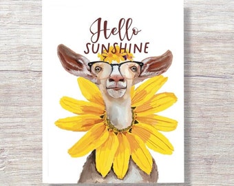 Here Comes the Sun with this Funny Hello Sunshine Card that says You are my sunshine.