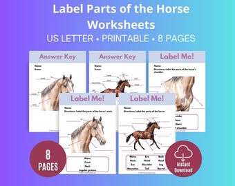 Hoja de trabajo sobre anatomía del caballo, actividad para identificar las partes (patrón en PDF)