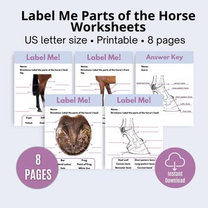 Label the Horse Hoof and Parts of the Leg Worksheets, Horse Camp Activity, Horse Knowledge, Horse Education, Horse Anatomy