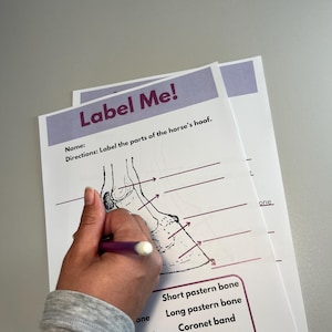 Horse Anatomy Worksheets, Hoof & Leg Labeling Activity (digital ...