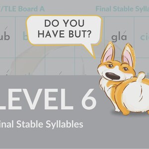 May include: An educational graphic with a cartoon corgi dog and the text "DO YOU HAVE BUT?" in a speech bubble. The image also includes the text "LEVEL 6" and "Final Stable Syllables" on a gray background.