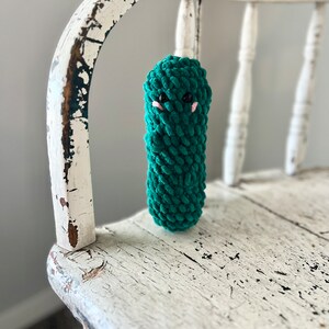 READY TO SHIP!!! Crochet Pickle | Amigurumi Pickle | Pickle Plushie | 7 inch Stuffy