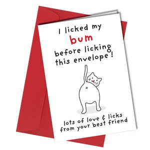 Birthday Card From The Cat / Funny / Licking Envelope / Best Friend #349