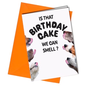 Dog Smell Funny Birthday Card / Birthday Cake #39