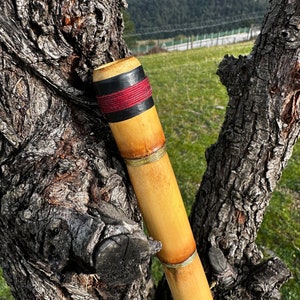 Authentic Arabian Ney Flute Instrument - Handcrafted Middle Eastern Musical Masterpiece