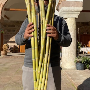 Eco-Friendly Natural Bamboo Sticks for Crafting and Home Décor