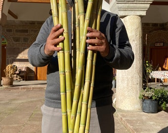 Bâtons de bambou naturel respectueux de l'environnement pour l'artisanat et la décoration intérieure