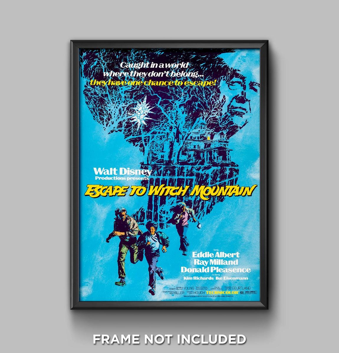 Escape to Witch Mountain Walt Disney Movie Poster Disneyland