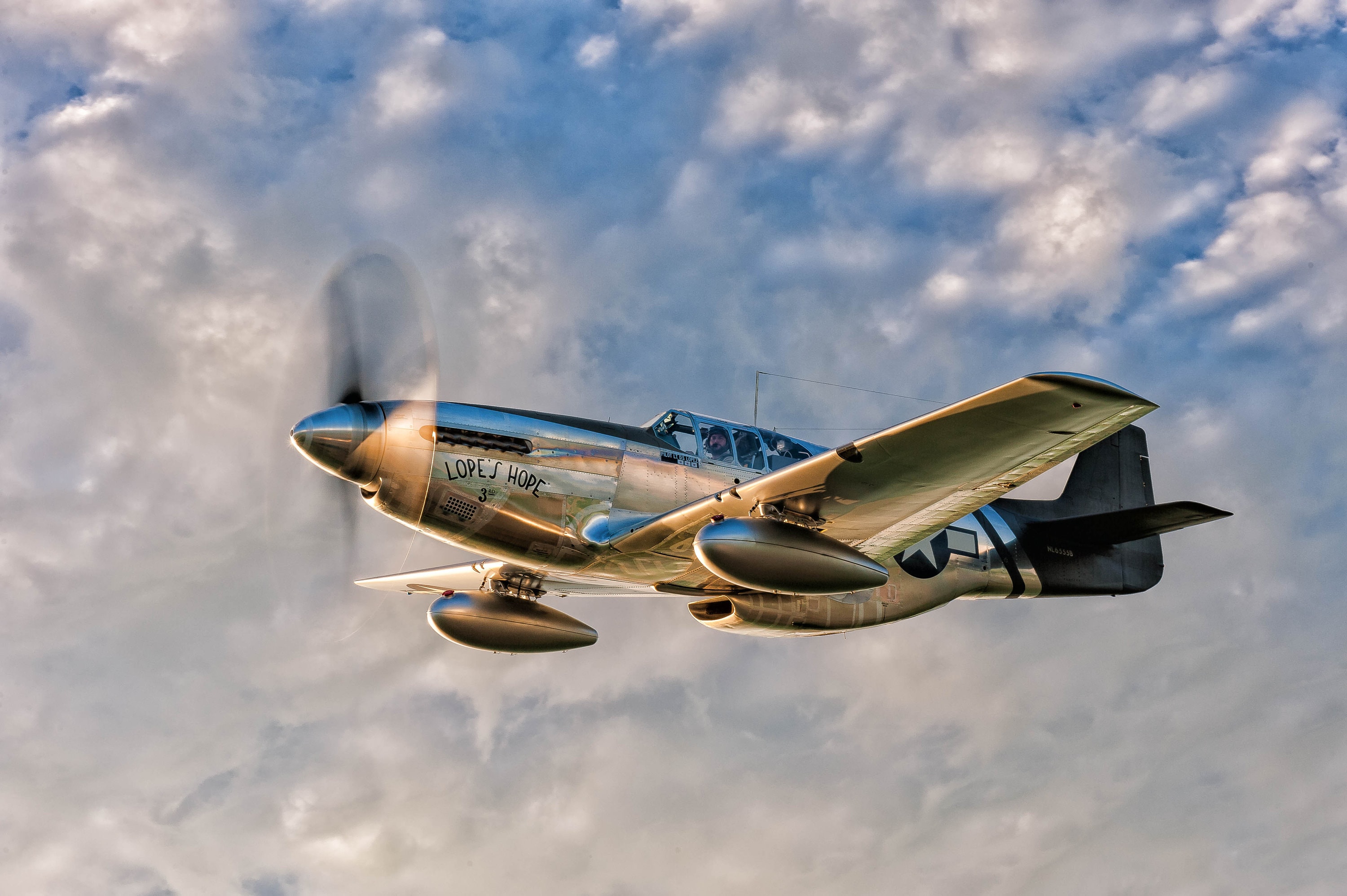 P-51 Mustang WWII Fighter Plane Wall Art , Aviation Art, North American, Fighter, gifts for him, warbird, vintage airplane, gift