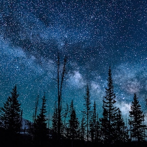 May include: A night sky with a view of the Milky Way galaxy over a dark silhouette of a forest of pine trees.