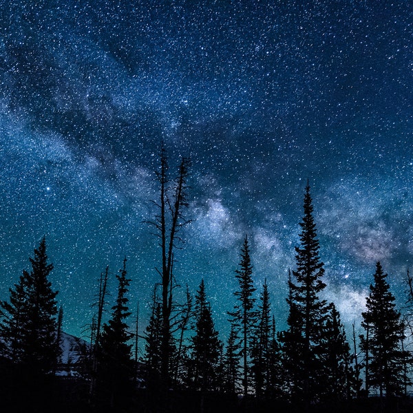 Die Milchstraße über den Uintah Mountains in Utah, galaktischer Kern der Milchstraße über majestätischen Kiefern und der Uintah Gebirgskette betrachtet. Galaxy Aufnahme