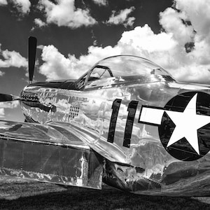 Mustang Magic P-51 Mustang digital print, aviation artwork,wall art,office decor, aviation decor,pilot gift,warbird print,fathers day