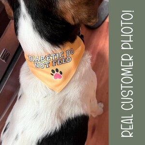 Service Dog Dog Bandana, Therapy Dog In Training Neckwear, Dog Accessory, Through Collar Dog Heart Bandana, Service Dog Do not Pet Accessory Bild 17