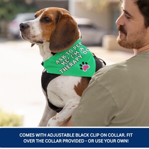 K&ouml;nnte beinhalten: Ein Beagle tr&auml;gt ein gr&uuml;nes Halstuch mit dem Text "ASK TO PET ME! I'M A THERAPY DOG" und einem rosa Pfotenabdruck. Der Hund tr&auml;gt ein schwarzes Geschirr. Das Halstuch hat einen schwarzen Rand. Der Hund wird von einer Person gehalten.