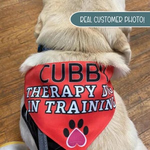 Service Dog Dog Bandana, Therapy Dog In Training Neckwear, Dog Accessory, Through Collar Dog Heart Bandana, Service Dog Do not Pet Accessory Bild 13