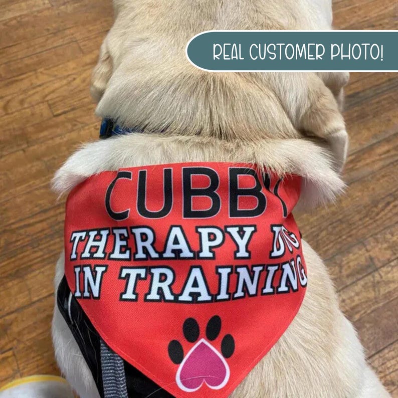 Service Dog Dog Bandana, Therapy Dog In Training Neckwear, Dog Accessory, Through Collar Dog Heart Bandana, Service Dog Do not Pet Accessory Bild 13