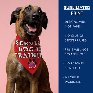 K&ouml;nnte beinhalten: Ein brauner Hund tr&auml;gt ein rotes Halstuch mit dem wei&szlig;en Text "SERVICE DOG IN TRAINING". Das Halstuch zeigt auch einen Pfotenabdruck mit einem rosa Herzen. Das Bild enth&auml;lt Text &uuml;ber die Produkteigenschaften.