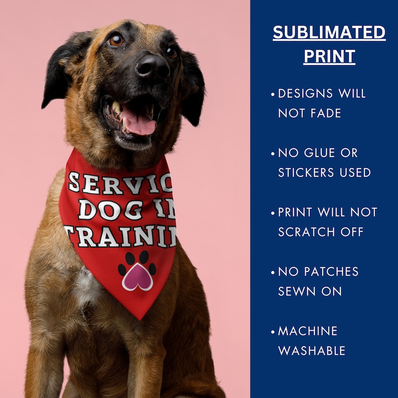 K&ouml;nnte beinhalten: Ein brauner Hund tr&auml;gt ein rotes Halstuch mit dem wei&szlig;en Text "SERVICE DOG IN TRAINING". Das Halstuch zeigt auch einen Pfotenabdruck mit einem rosa Herzen. Das Bild enth&auml;lt Text &uuml;ber die Produkteigenschaften.