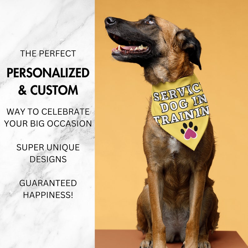 K&ouml;nnte beinhalten: Ein brauner Hund tr&auml;gt ein gelbes Halstuch mit der Aufschrift "SERVICE DOG IN TRAININ" und einem rosa Pfotenabdruck. Der Hund sitzt vor einem gelben Hintergrund. Auf der linken Seite steht "THE PERFECT PERSONALIZED & CUSTOM WAY TO CELEBRATE YOUR BIG OCCASION SUPER UNIQUE DESIGNS GUARANTEED HAPPINESS!"