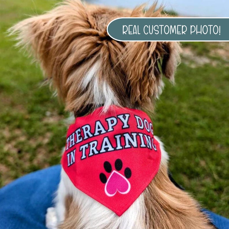 Service Dog Dog Bandana, Therapy Dog In Training Neckwear, Dog Accessory, Through Collar Dog Heart Bandana, Service Dog Do not Pet Accessory Bild 14