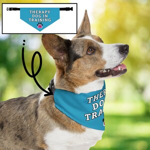 K&ouml;nnte beinhalten: Ein Hund tr&auml;gt ein t&uuml;rkisfarbenes Halstuch mit dem wei&szlig;en Text "THERAPY DOG IN TRAINING". Das Halstuch hat auch einen rosa Pfotenabdruck. Der Hund hat braunes und wei&szlig;es Fell und ist im Freien.