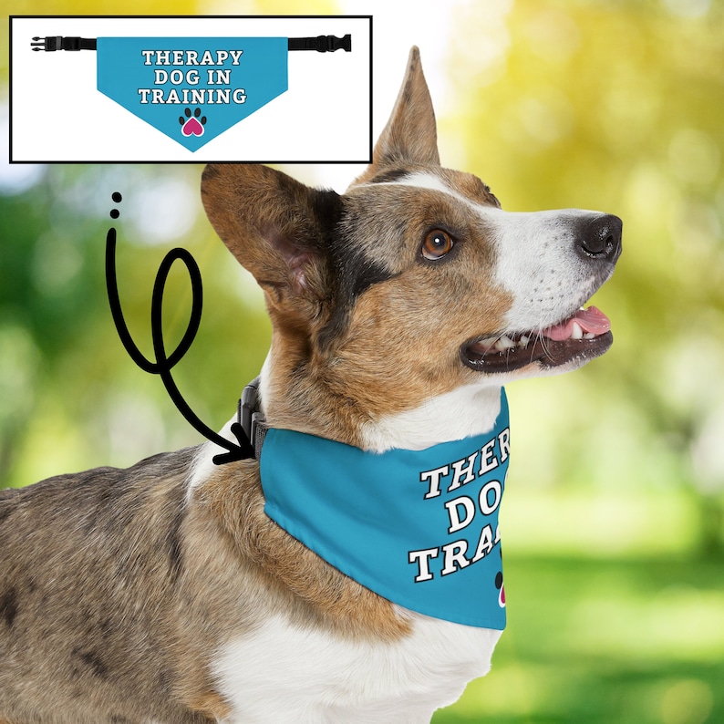 K&ouml;nnte beinhalten: Ein Hund tr&auml;gt ein t&uuml;rkisfarbenes Halstuch mit dem wei&szlig;en Text "THERAPY DOG IN TRAINING". Das Halstuch hat auch einen rosa Pfotenabdruck. Der Hund hat braunes und wei&szlig;es Fell und ist im Freien.